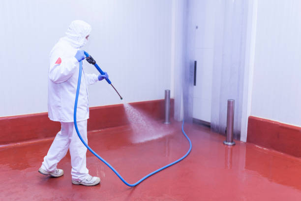 Best Driveway Cleaning and Restoration in Chadbourn, NC